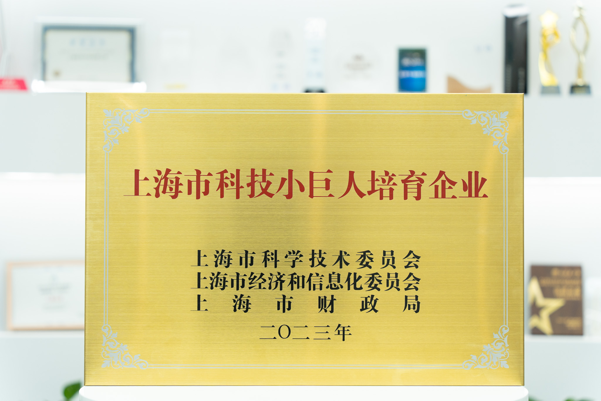 Originale Auszeichnungstafel als Förderunternehmen des Shanghai-Programms „Little Giant“ für Wissenschaft und Technologie 2023