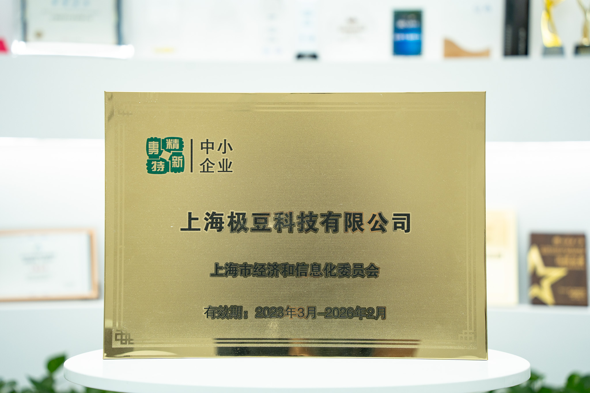 2023 상하이시 전정특신 기업 과거 인정 원본 상패(기존 유효기간 문구 포함)